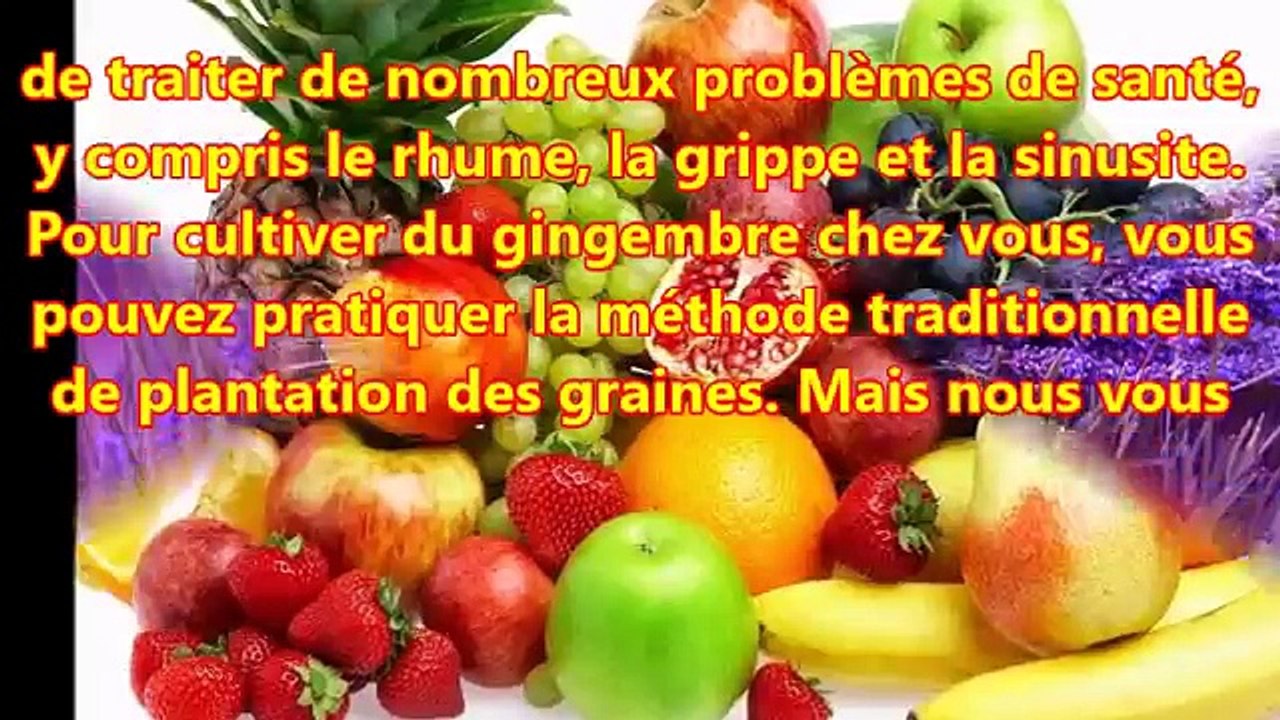 Voici comment faire pousser vos propres gingembres à la maison