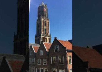 Utrecht Musician Plays 'Hey Brother' in Avicii Tribute