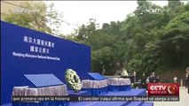 Hong Kong celebra una ceremonia en memoria de las víctimas de la masacre de Nanjing