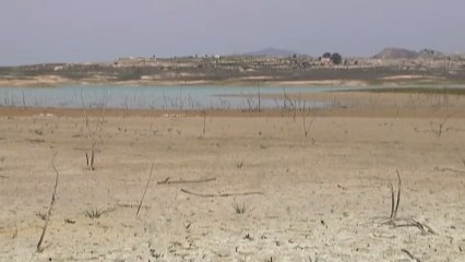 Tras las últimas lluvias continúa la sequía en el sureste peninsular