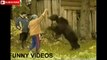 MOST ENTERTAINING VIDEOS II VERY FUNNY VIDEOS