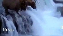 VID-20180114-WA0342