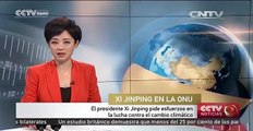 El presidente Xi Jinping pide esfuerzos en la lucha contra el cambio climático