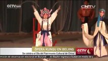 Se celebra el Día del Patrimonio Cultural de China