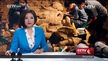 Comienzan nuevos trabajos de excavación en el foso 2 de los Guerreros de Terracota de Xi'an
