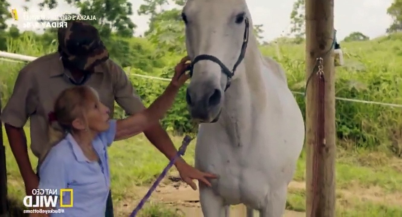 The Adventures of Dr. Buckeye Bottoms S02xxE03 Maui Madness - Part 01