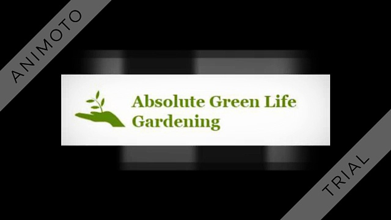 Absolute Green Life