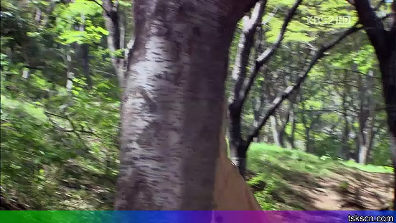 赤道的男人13 Part.2[韓語中字][Man.From.The.Equator]
