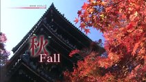 CYCLE AROUND JAPAN - Autumn - World Heritage Sites, Tomioka to Nikko - (1)-002