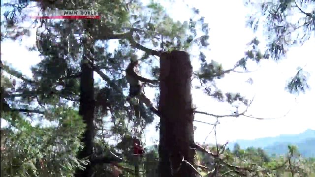 CYCLE AROUND JAPAN - Autumn - World Heritage Sites, Tomioka to Nikko - (1)-010