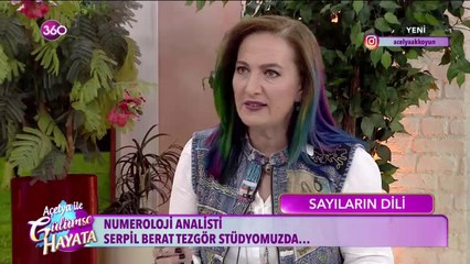 Rakamlar bize ne anlatır?