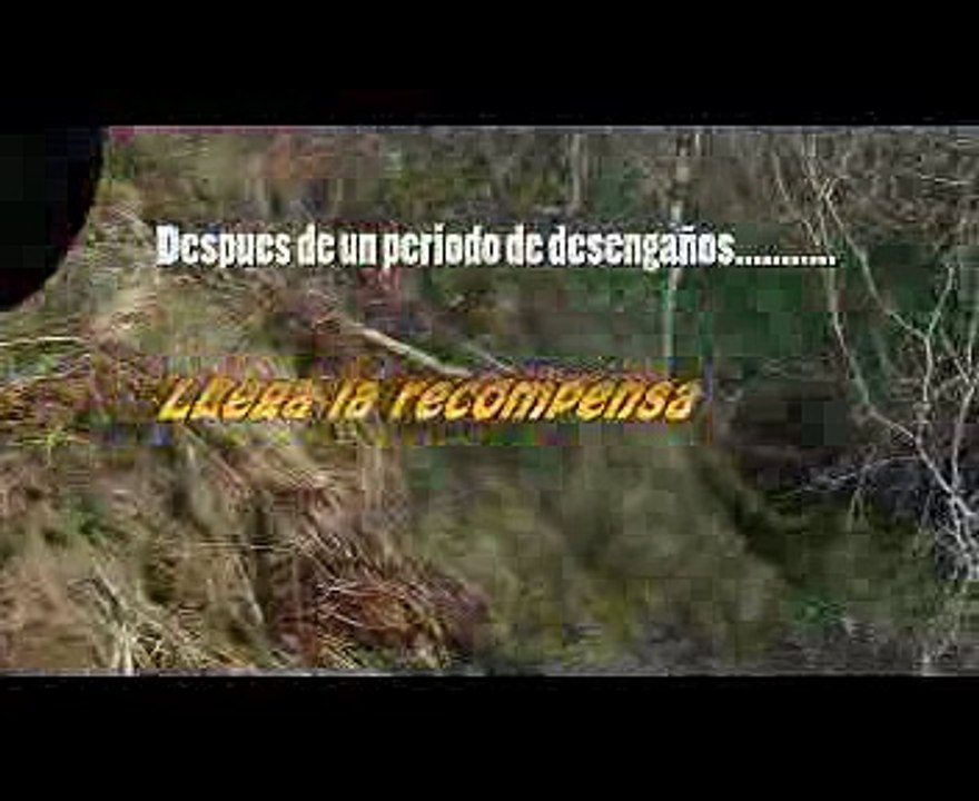 Una recompensa  por fin