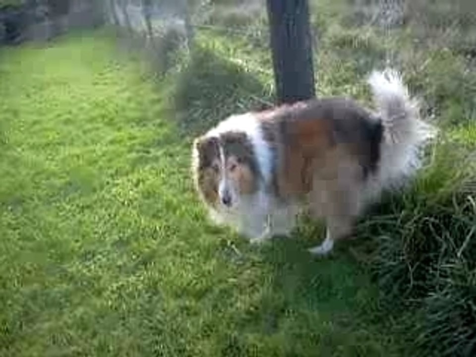 Samy