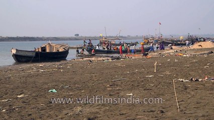 下载视频: Human Defecation along Ganga- sad shortage of toilets and clean water in India