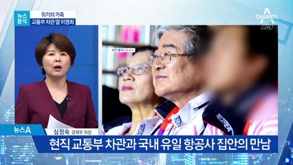 [뉴스분석]조양호·이명희 만나 ‘칼피아’ 탄생?
