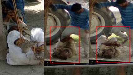 हैवान बना बेटा, पेड़ से बांधकर नाजुक अंगों पर मारी लात