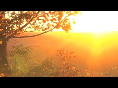 Best Relaxing Flute Music with Nature Sound, Reiki Zen Music, Morning Meditation Music ♫♫♫