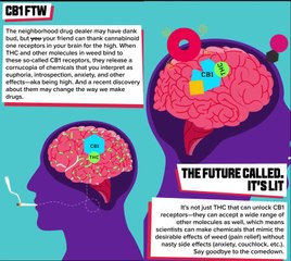 The Science Of How Weed Works
