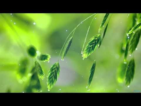 Classical Piano Music for Studying and Concentration, Study Music, New Age Relaxing Piano Music ♫♫♫