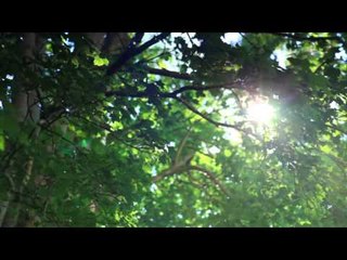 Relaxing Piano Music, New Age Relaxation Music, Meditation Music, Soft Music, Spa Background Music