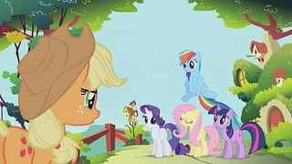 My Little Pony Friendship Is Magic S01 E10  Swarm of the Century
