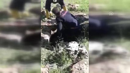 Midyat'ta Kuyuda Kadın Cesedi Bulundu