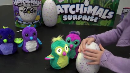 EXCLU • NOS HATCHIMALS ATTENDENT LE NOUVEAU VENU !! - Studio Bubble Tea
