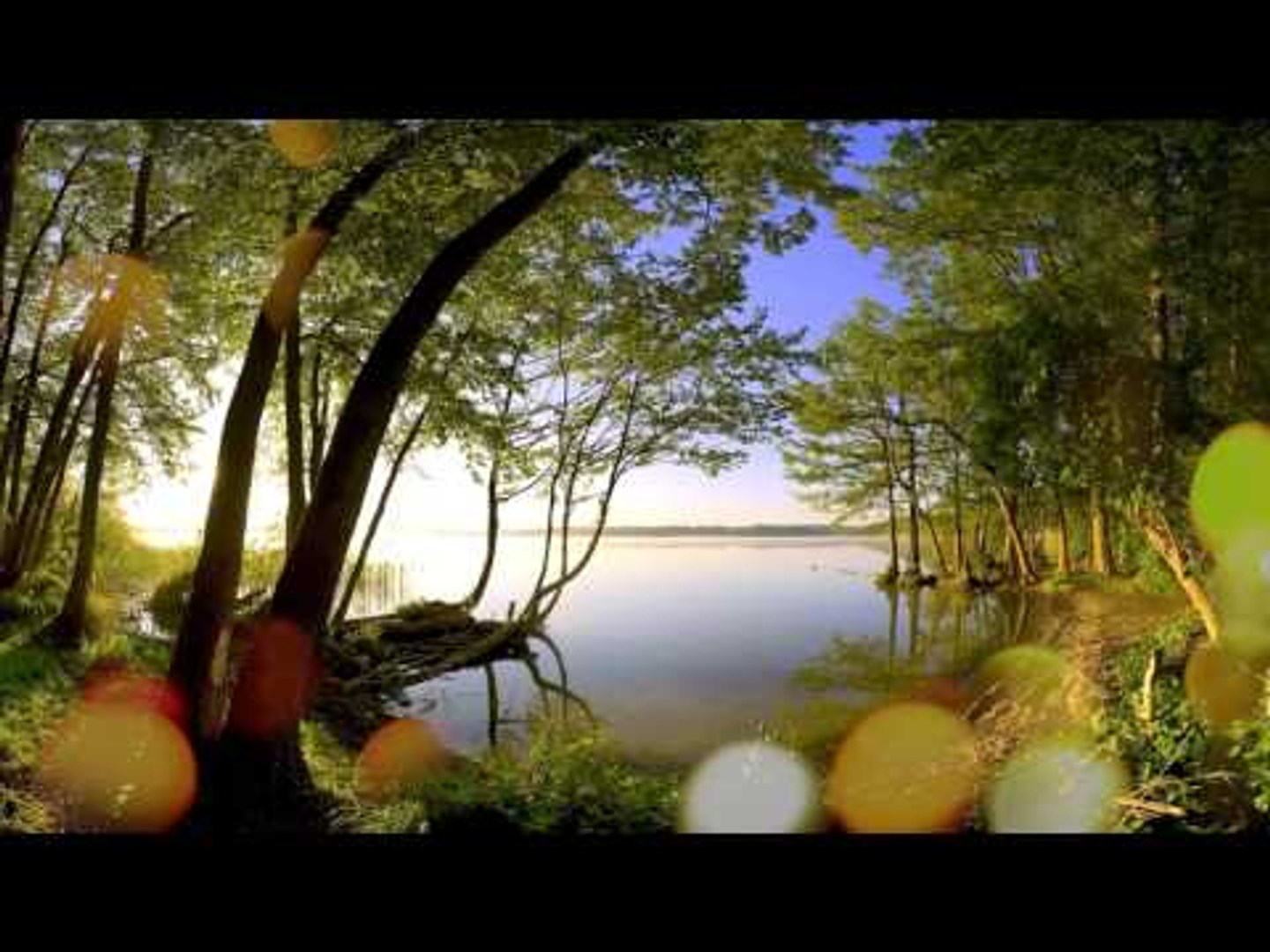 Chill Out Relax Music - Meditational Calming Music, Inner Peace, Soothing Music, Study & Focus M