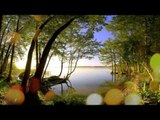 Chill Out Relax Music - Meditational Calming Music, Inner Peace, Soothing Music, Study & Focus Music