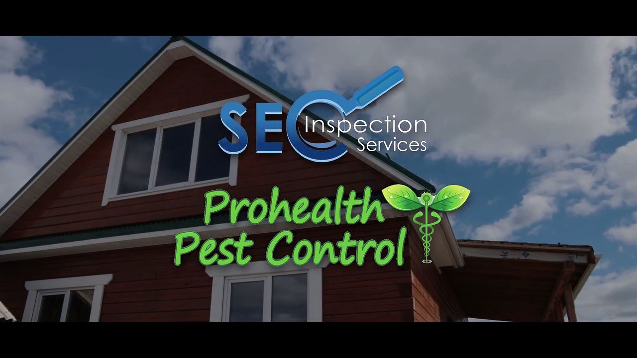 SEC Inspection Services Clearwater Terrific 5 Star Review by Matt Fishel