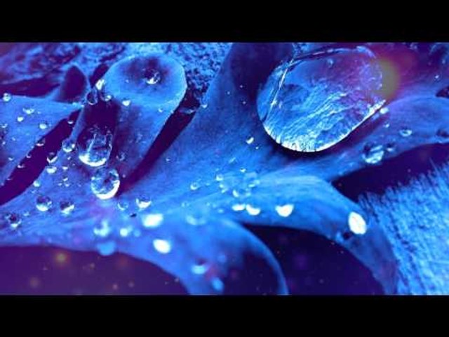 Relax Meditation Music: Relaxation Music, Soothing Music, Calming Music, Yoga Music, Healing Music