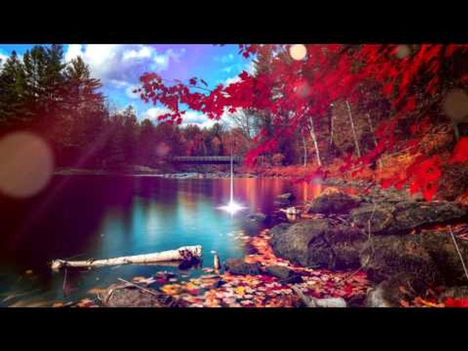 Deep Relax Meditation Music : Delta Waves Relaxing Music, Soothing Music, Calming Music