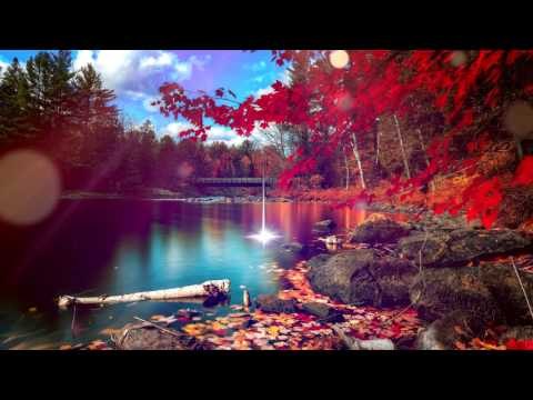 Deep Relax Meditation Music : Delta Waves Relaxing Music, Soothing Music, Calming Music