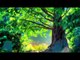30 Mins Relaxing Music Therapy, Soft Music, Relaxing Nature Scenes - Relaxing Music - Nature Scenes