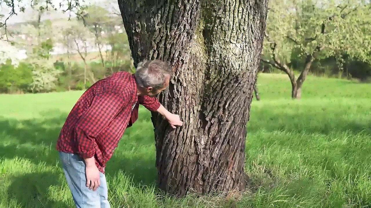 ARGE Streuobst und Blühendes Österreich suchen die schönsten Streuobstwiesen