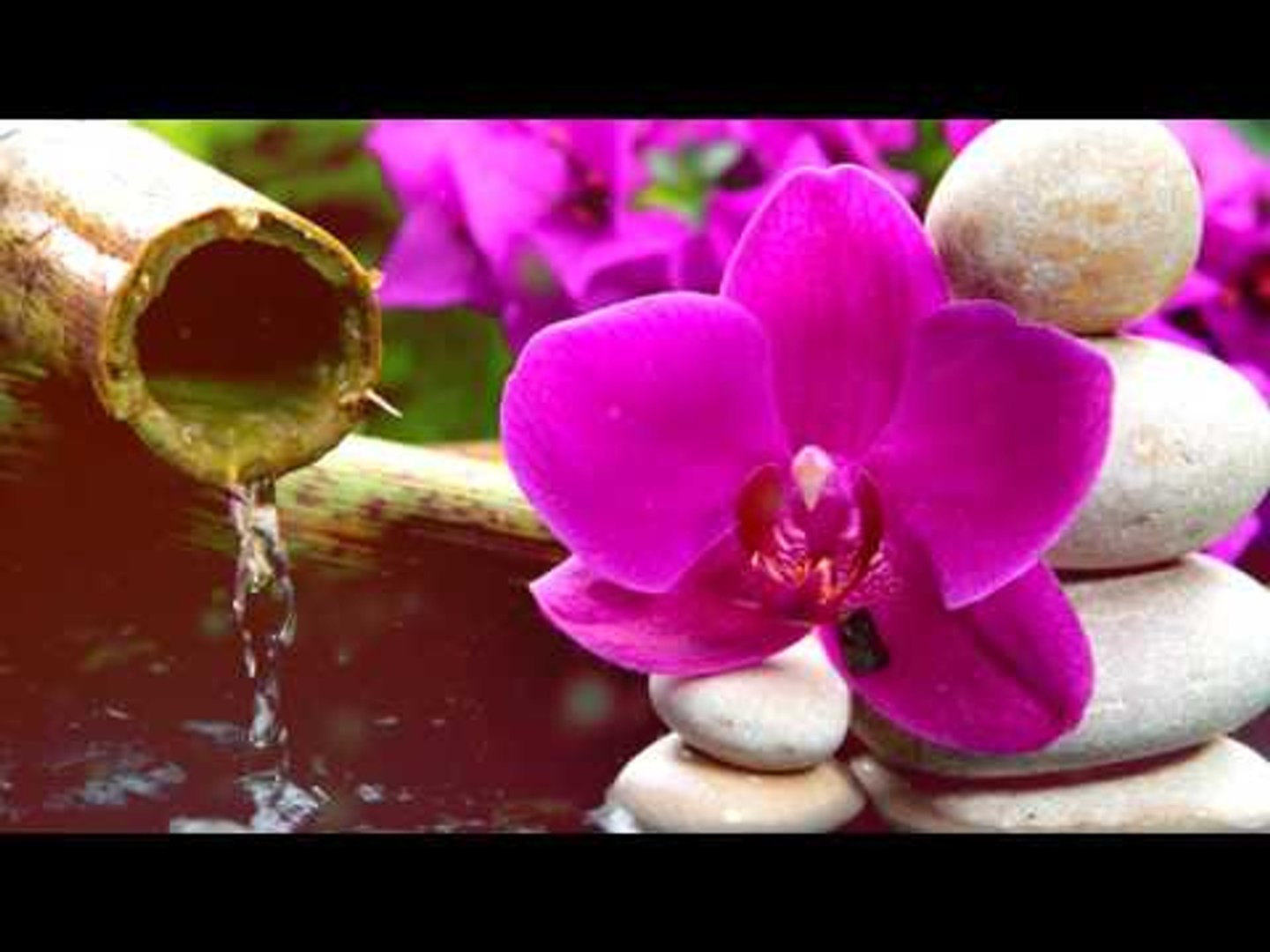 Deep Meditation Music: Relaxation Flute Music, Calming Music, Soft Music, Soothing Music ♫♫♫