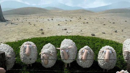 Oh Sheep!