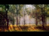 Meditation Music Relax Mind Body: Relaxing Guitar Music, Calming Music, Evening Meditation