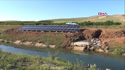 Mardin-Kayısı Bahçesini, Güneş Enerjisi Sistemiyle Suluyor-Hd