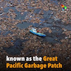 Ocean Pollution Versus Science