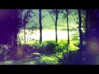 30 Mins Deep Meditation Music: Nature Sounds, Relaxing Music, Calming Music, Healing Music