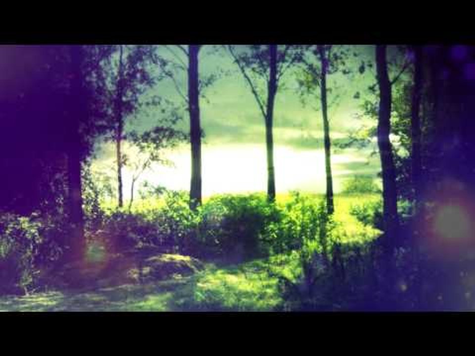 30 Mins Deep Meditation Music: Nature Sounds, Relaxing Music, Calming Music, Healing Music