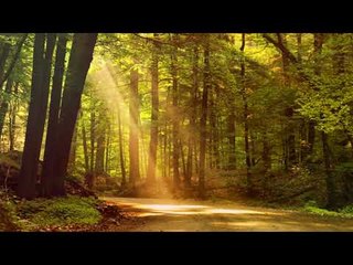 Relaxing Guitar Music : Wonderful Guitar Music, Deep Sleep, Meditation, Massage, Relax Music