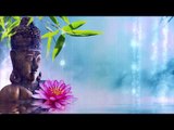 Peaceful Morning Relax : Meditation Background Harp Instrumental, Stress Relief, Mind Relaxation
