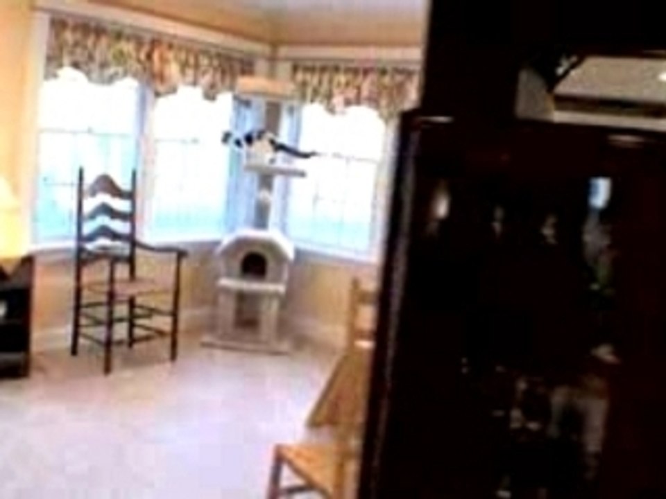 Kennebunk, Maine (ME) horse farm for sale