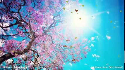 يا الله ما أجمل هذه التلاوة ستاخذك لعالم الهدوء والراحة والسكينة