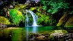 Relaxing Music - Waterfall Sounds, Rain Forest, Birds Chirping, Relaxing Water, Nature Sounds