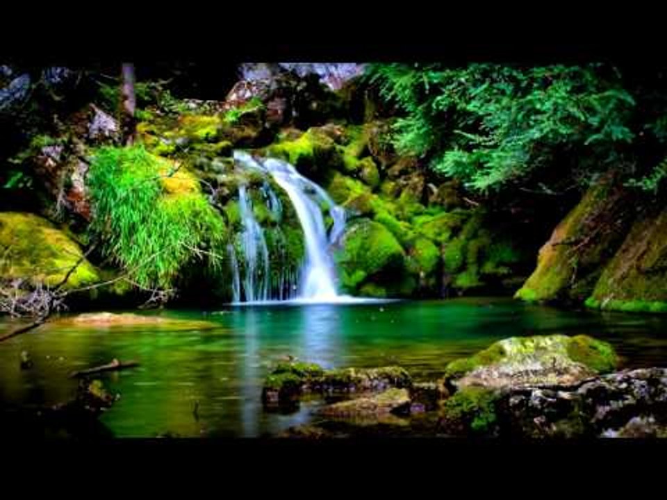 Relaxing Music - Waterfall Sounds, Rain Forest, Birds Chirping, Relaxing Water, Nature Sounds