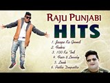 Raju Punjabi Hit Songs || Haryanvi DJ Song || VR Bros || Latest Haryanvi Song || Mor Haryanvi