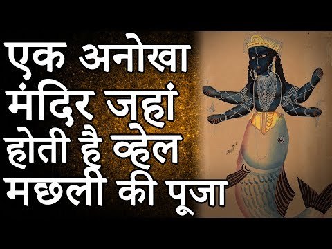 यहाँ होती है व्हेल मछली की पूजा | ‘मत्स्य माताजी’ एक अनोखा मंदिर | रोचक जानकारियां